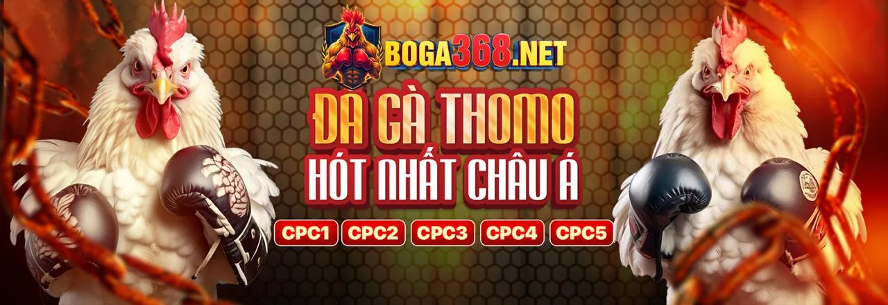 Tin tức mới nhất từ 123goal với game bài đổi thưởng hấp dẫn 2026